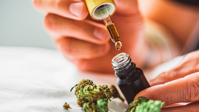 CBD Gummies: Die neuesten Trends und Geschmacksrichtungen