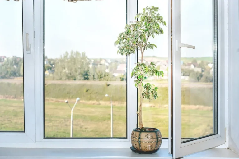 Tipps zum Fensterkauf – Qualität und Funktionalität beachten: Die wichtigsten FAQs